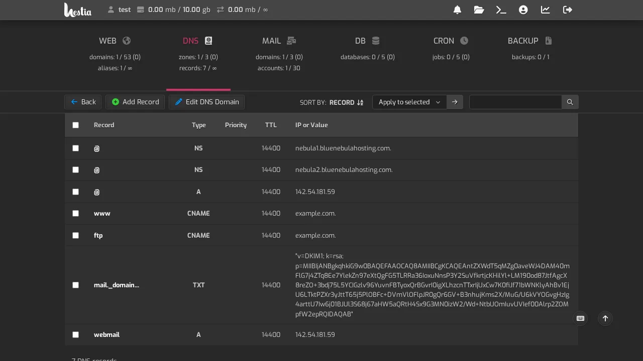 DNS records in your control panel